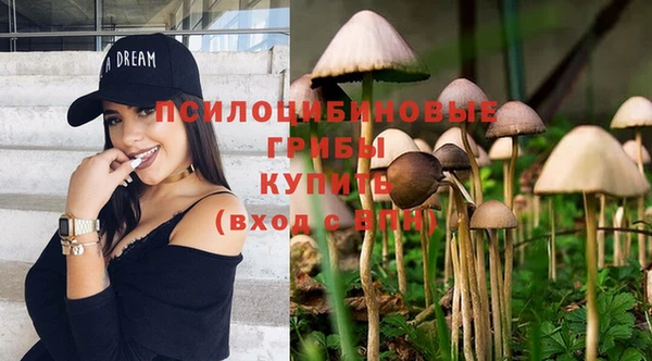гашишное масло Алексеевка