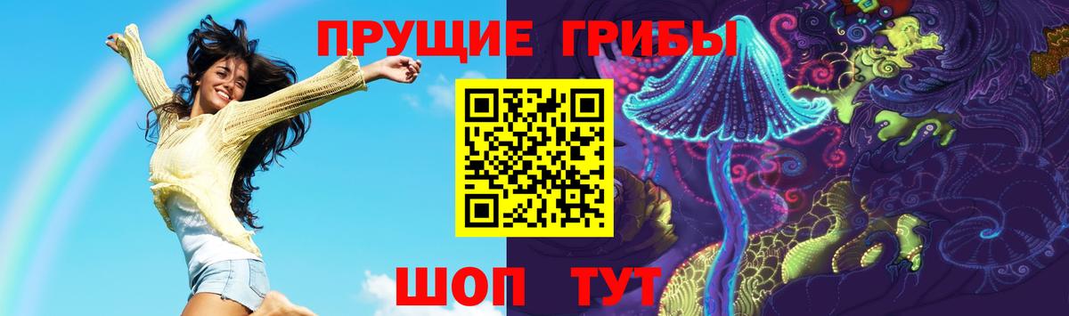 Псилоцибиновые грибы Cubensis Ижевск